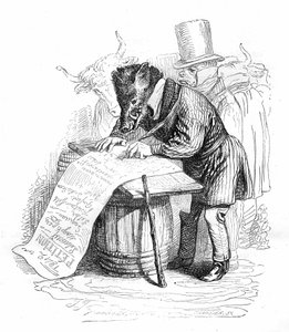 Grandville gravure uit het boek 