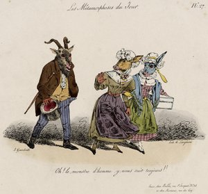 De Metamorfosen van de Dag, Nr. 27