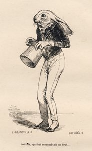 Bange haas in dandy kostuum. Geïllustreerde vignetten door JJ Granville. Gravure gesigneerd Breviere in het deel "Verhaal van een haas" geschreven door PJ Stahl in "Scènes uit het privé- en openbare leven van dieren". Parijs, J. Hetzel en Paulin door Grandville