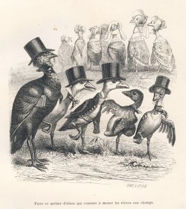 Ganzen die hun kinderen naar de velden brengen. De ganzen verlaten hun kind. Geïllustreerde vignetten door JJ Granville. Gravure gesigneerd door Breviere in het deel getiteld "Gids-ezel voor dieren die eer willen bereiken" geschreven door...