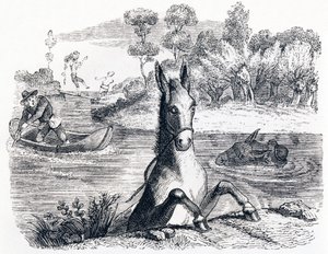 De ezel met de spons en de ezel met het zout - Fabels van La Fontaine