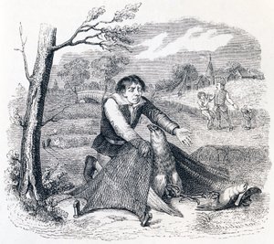 De vogelvanger, de havik en de leeuwerik - Fabels van La Fontaine door Grandville