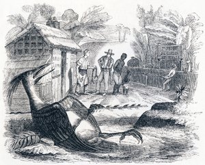 De vogel gewond door een pijl - Fabels van La Fontaine door Grandville