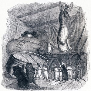De kat en de oude rat - Fabels van La Fontaine