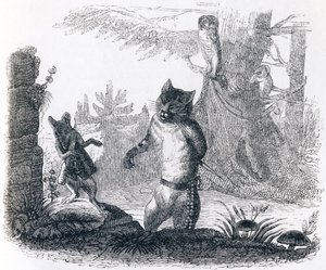 De kat en de rat