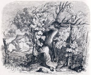 Het hert en de wijnstok - Fabels van La Fontaine door Grandville