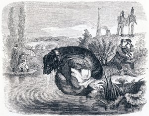 De hond die zijn prooi opgeeft voor de schaduw - Fabels van La Fontaine