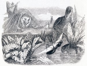 De duif en de mier - Fabels van La Fontaine