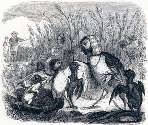 De leeuwerik en haar jongen, met de meester van een veld - Fabels van La Fontaine door Grandville