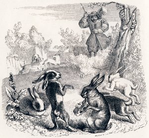 De konijnen (Les lapins) - Fabels van La Fontaine door Grandville