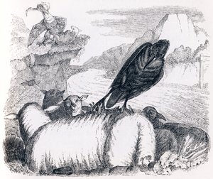 De raaf die de adelaar wil imiteren (le corbeau voulant imiter l