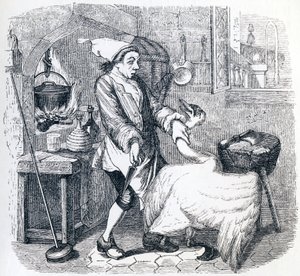De zwaan en de kok - Fabels van La Fontaine door Grandville