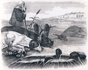 De twee honden en de dode ezel - Fabels van La Fontaine