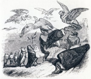 De gieren en de duiven door Grandville
