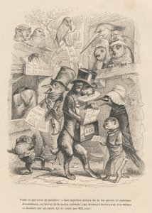 Dit is net verschenen. Kat en vogel verkopen het huidige boek voor zes sous. Vignetten geïllustreerd door JJ Granville. Gravure gesigneerd door Andrew, Best en Leloir in het proloog getiteld 