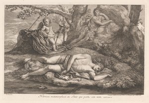 Narcissus en Echo