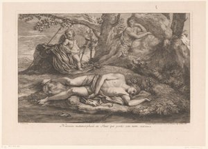 Narcissus en Echo