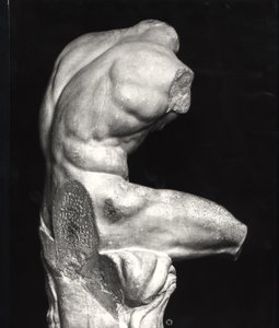 Belvedere torso door Greco Roman Greco Roman