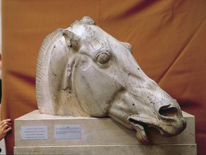 Hoofd van een Paard van Selene