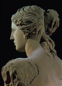 Venus van Milo, detail van de achterkant van het hoofd