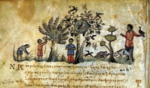Jacht met de valk en het vangen van vogelnesten. Grieks manuscript van Oppianus De Venatione 13e eeuw