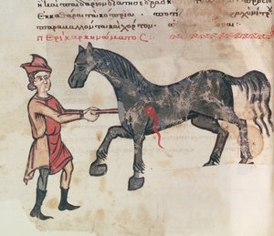 Opereren van een paard door Greek School