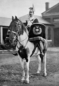 Het trommelpaard van de 17e Lancers, 1896 door Gregory and Co