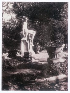 Fotograaf (foto)