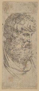 Buste van een bebaarde man, ca. 1600-1640 door Guido Reni