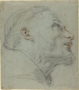 Hoofd van Sint Franciscus