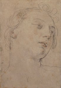 Het hoofd van Europa door Guido Reni