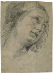 Het Hoofd van een Jonge Vrouw die Omhoog Kijkt, c.1609