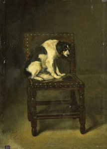 Een hond op een stoel