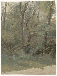 Bosgezicht door Guillaume Anne van der Brugghen