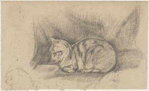 Liggende kat naar links door Guillaume Anne van der Brugghen
