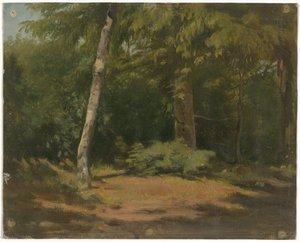 Open plek in het bos