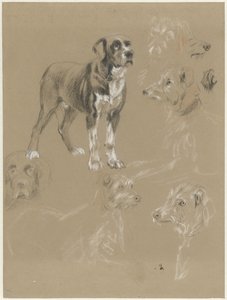 Studies van een hond door Guillaume Anne van der Brugghen