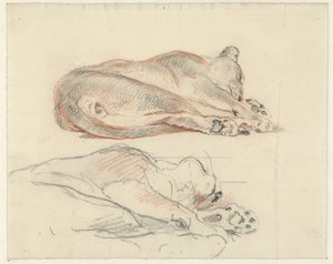 Twee studies van een liggende tijger door Guillaume Anne van der Brugghen