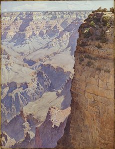 De Grand Canyon van Arizona