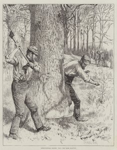 Landbouwscènes, Mei, de Schorsoogst door Gunning King