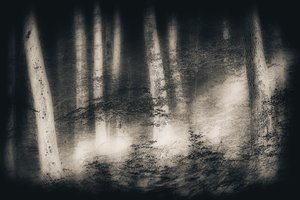  door Gustav Davidsson