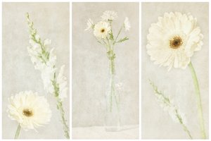 Zachte witte bloesems door Gustav Davidsson