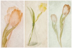 Drieluik met tulpen in aquarel door Gustav Davidsson