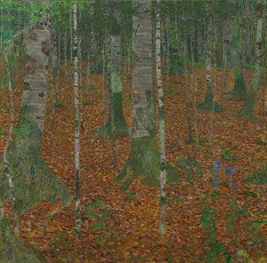 Berkenbos, 1903