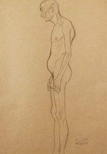Naakte man naar links door Gustav Klimt