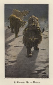Op de aanval