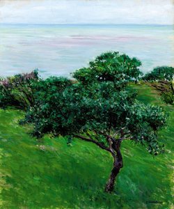 Appelbomen aan Zee, Trouville, 1880 door Gustave Caillebotte
