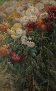 Chrysanten in de tuin van Petit-Gennevilliers door Gustave Caillebotte