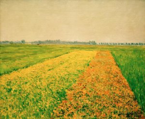 De vlakte van Gennevilliers, gele velden door Gustave Caillebotte