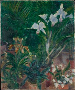 Orchideeën in de kas van Petit Gennevilliers, 1893